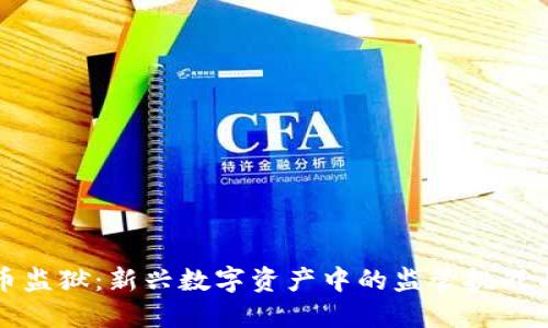 虚拟币监狱：新兴数字资产中的监管挑战与机遇