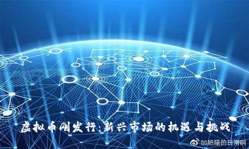 虚拟币刚发行：新兴市场的机遇与挑战