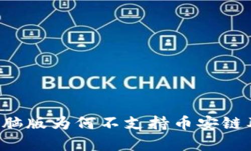  tpWallet电脑版为何不支持币安链及其解决方案