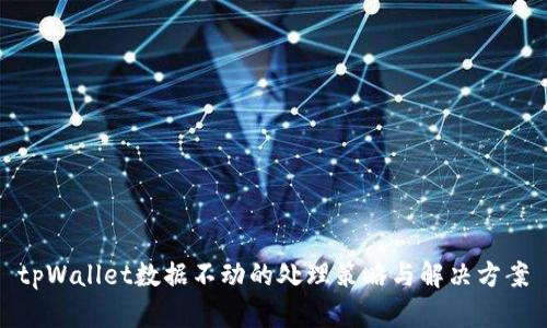 tpWallet数据不动的处理策略与解决方案