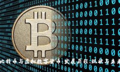 比特币与虚拟数字货币：