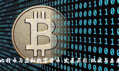 比特币与虚拟数字货币：发展历程、现状与未来