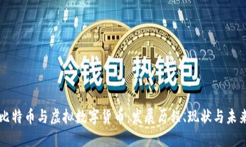 比特币与虚拟数字货币：发展历程、现状与未来
