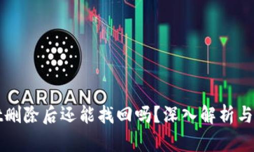 tpWallet删除后还能找回吗？深入解析与解决方案