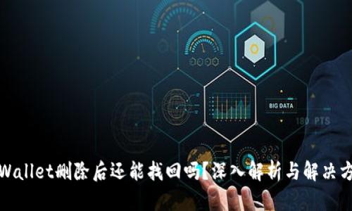tpWallet删除后还能找回吗？深入解析与解决方案
