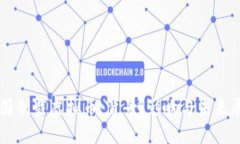 美国制裁虚拟币：背景、