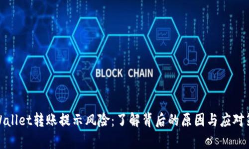 tpWallet转账提示风险：了解背后的原因与应对策略