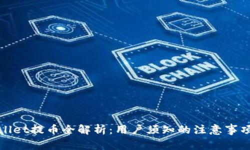 : tpWallet提币全解析：用户须知的注意事项与技巧