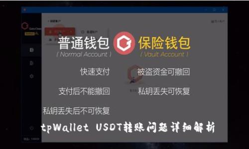  tpWallet USDT转账问题详细解析