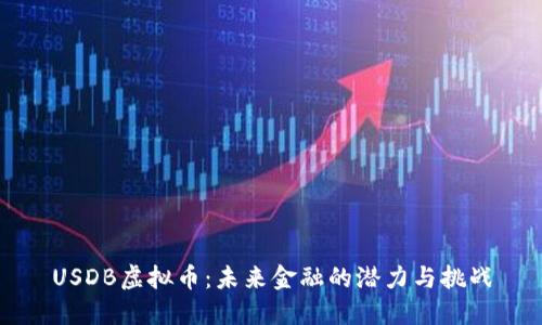 USDB虚拟币：未来金融的潜力与挑战