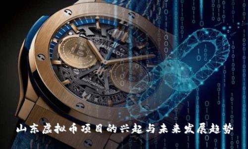 山东虚拟币项目的兴起与未来发展趋势