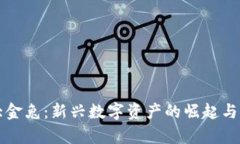 虚拟币大金兔：新兴数字