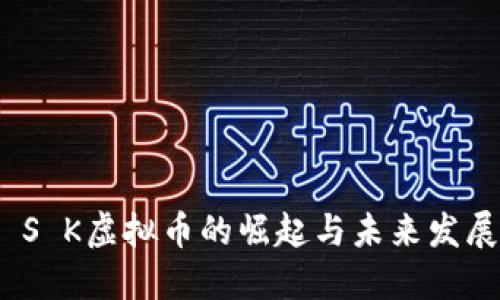  S K虚拟币的崛起与未来发展