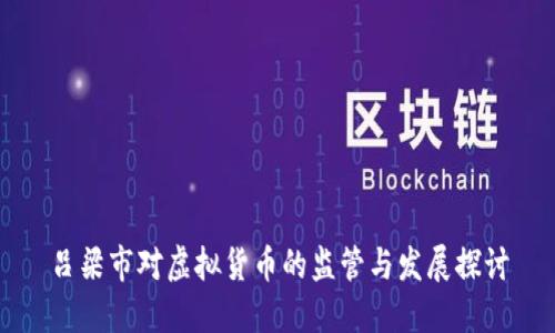 吕梁市对虚拟货币的监管与发展探讨