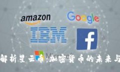 :全面解析星云币：加密货币的未来与挑战