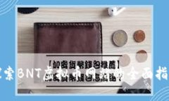 探索BNT虚拟币网站的全面