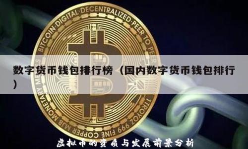 
虚拟币的资质与发展前景分析