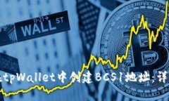 如何在tpWallet中创建BCS1地