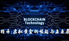 比特币：虚拟黄金的崛起