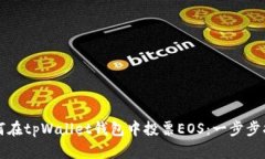 如何在tpWallet钱包中投票
