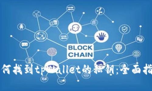 如何找到tpWallet的私钥：全面指南