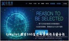  tpWallet：探索BNB生态的便利性与安全性