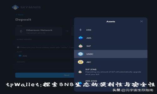  tpWallet：探索BNB生态的便利性与安全性