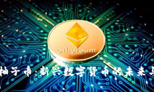 虚拟柚子币：新兴数字货币的未来与挑战