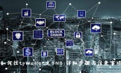 如何往tpWallet充BNB：详细步骤与注意事项