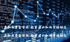 虚拟币资金分析：投资者