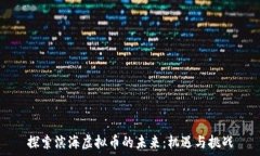   探索滨海虚拟币的未来：