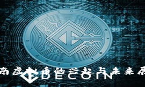 越南虚拟币的兴起与未来展望