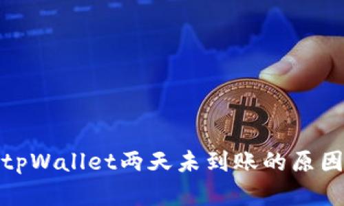 抹茶提币到tpWallet两天未到账的原因及解决方案