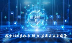 探索BRU虚拟币：潜力、应