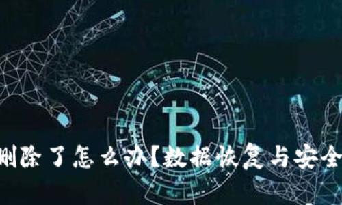  tpWallet删除了怎么办？数据恢复与安全管理全解析