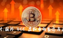 深入探讨：国外 OCC 虚拟币