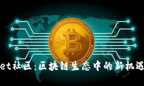 tpWallet社区：区块链生态中的新机遇与挑战