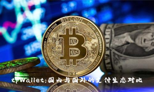 tpWallet：国内与国外的支付生态对比