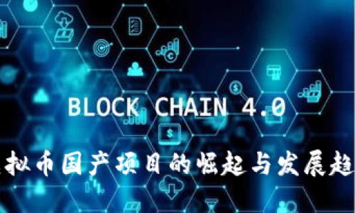 虚拟币国产项目的崛起与发展趋势