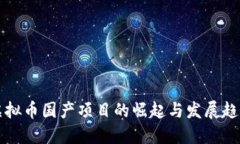 虚拟币国产项目的崛起与
