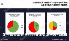 深入探索虚拟币TDC：未来