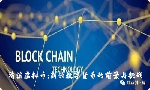 清溪虚拟币：新兴数字货币的前景与挑战