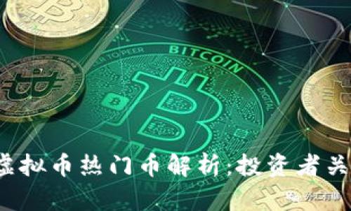 2023年虚拟币热门币解析：投资者关注的焦点