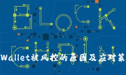 tpWallet被风控的原因及应对策略