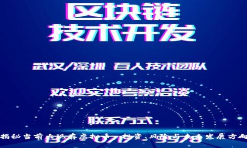 揭秘当前大现存虚拟币: 投资、风险与未来发展方向