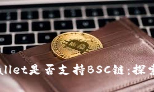 电脑版tpWallet是否支持BSC链：探索及使用指南