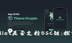 电脑版tpWallet是否支持BS