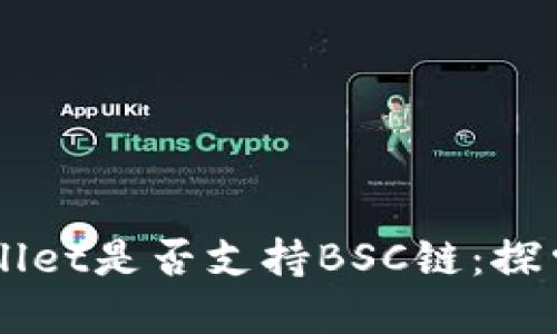 电脑版tpWallet是否支持BSC链：探索及使用指南