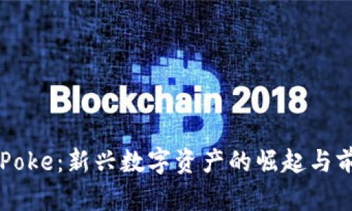 虚拟币Poke：新兴数字资产的崛起与前景分析