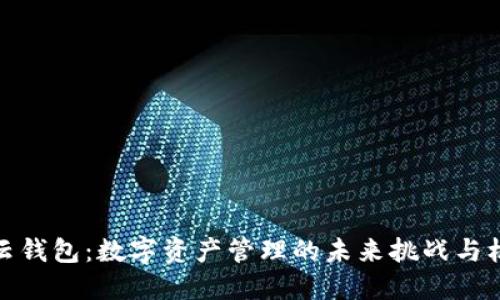 TP云钱包：数字资产管理的未来挑战与机遇